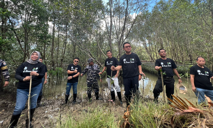 Kurangi Emisi Karbon.. GAPKI Tanam 500 Mangrove, Target 10 Ribu Batang!