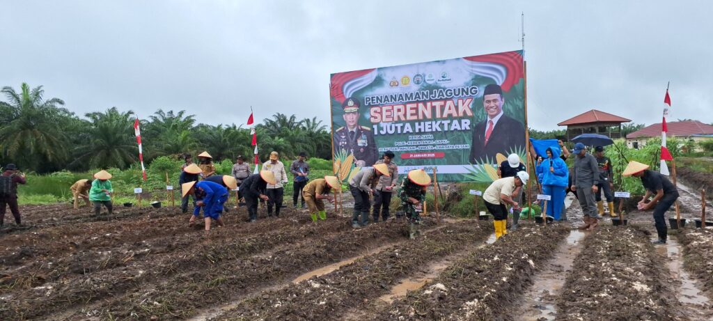 Dukung Ketahanan Pangan Nasional, GAPKI Kalsel Ajak Perusahaan Anggota Tanam Padi Gogo dan Jagung Serentak
